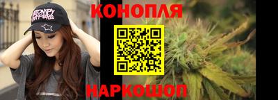 стаф Кинель
