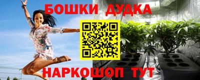 стаф Кинель